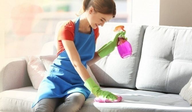 Женщина чистит диван