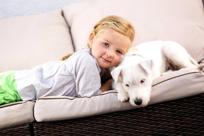 Ребенок с собакой на диване