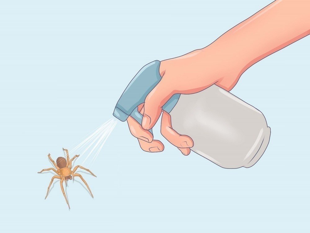 Препараты для борьбы с пауками