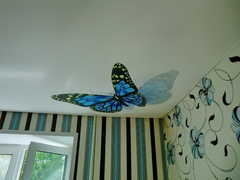 Фотопечать бабочки на натяжных потолках зелёные