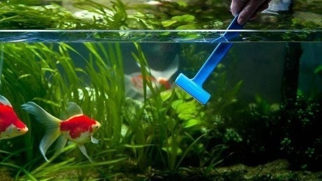 Как помыть аквариум с рыбками: схема правильной чистки и мытья в домашних условиях за 5 шагов! Простая инструкция с фотографиями
