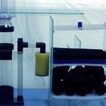 Как правильно выбрать и ухаживать за губкой для фильтра аквариума?