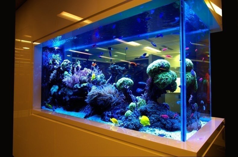 Большой морской аквариум