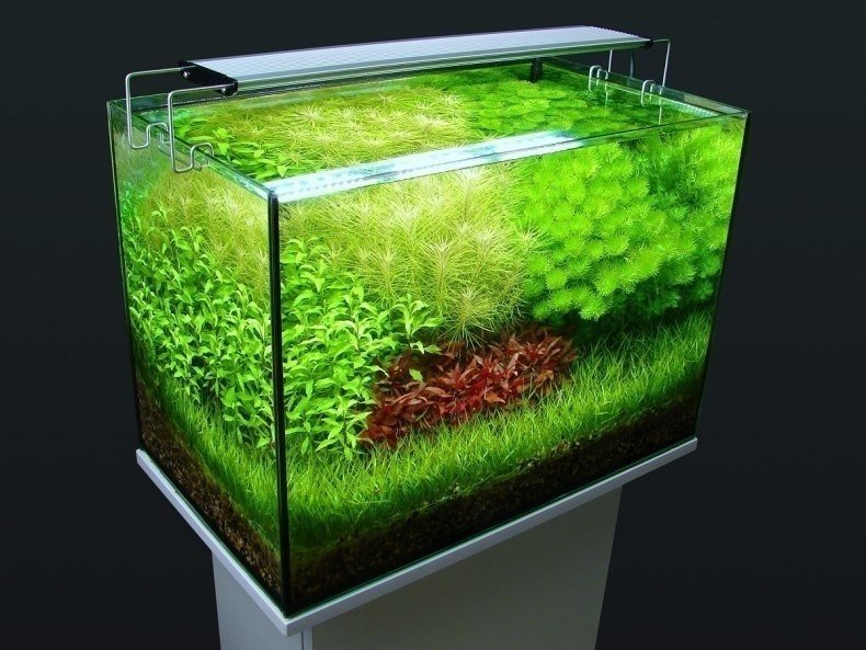 Небольшой аквариум