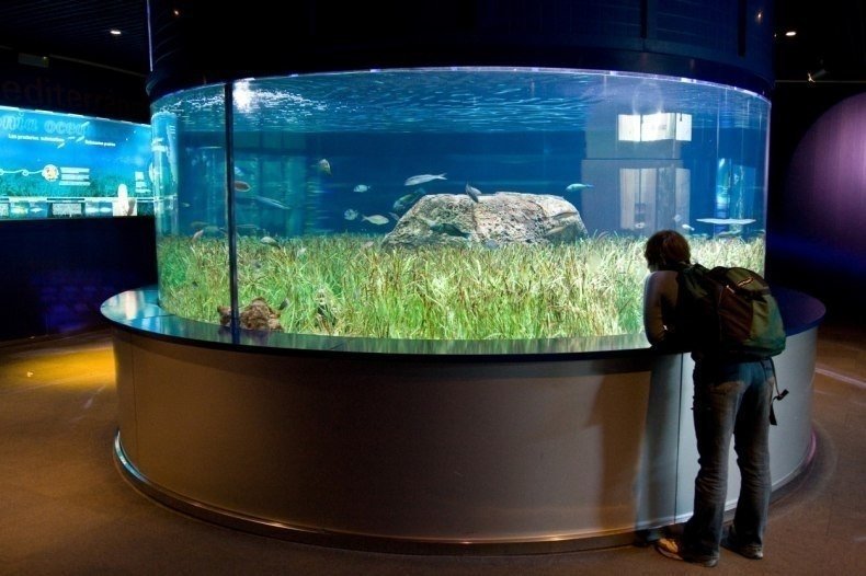 Владивосток аквариум океанариум