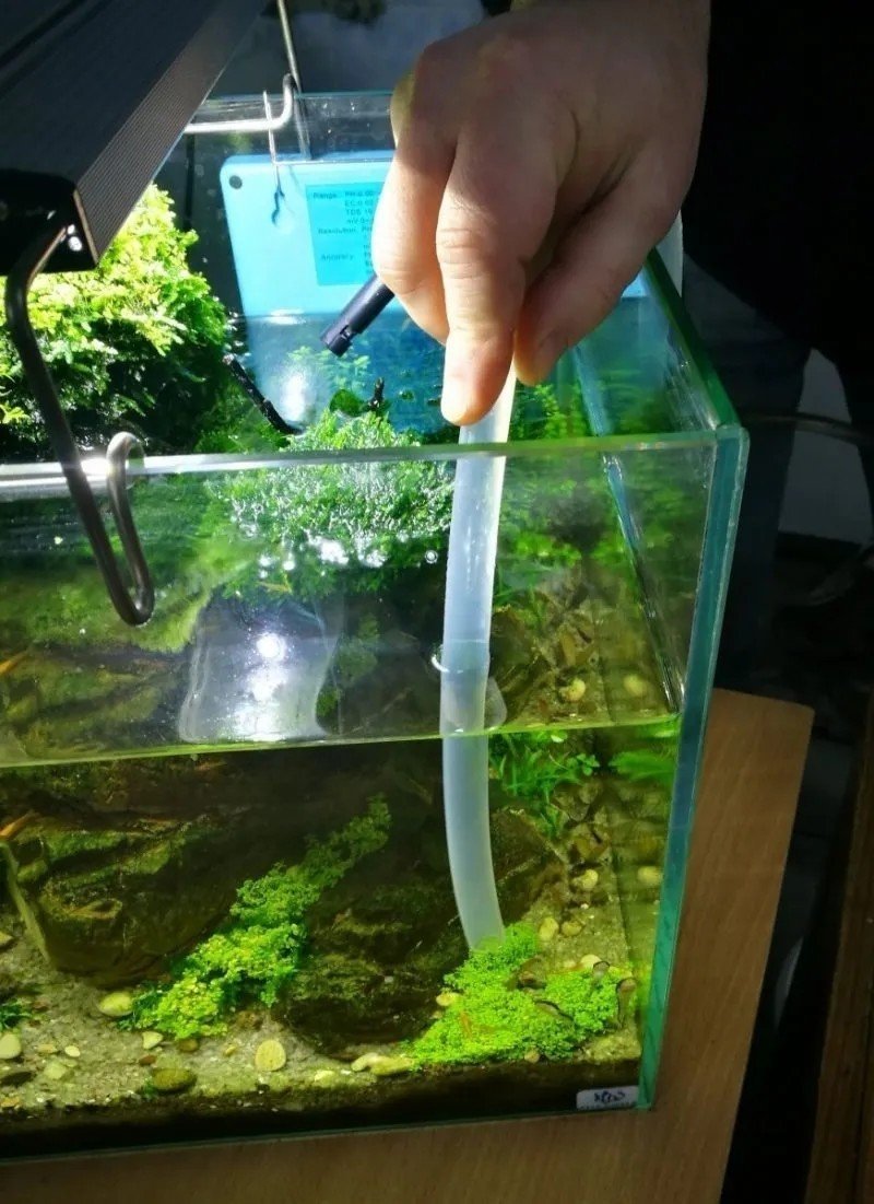 Вода в аквариуме