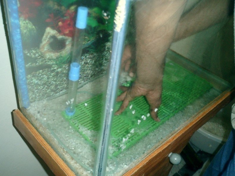 Фильтр для аквариума на дно аквариума