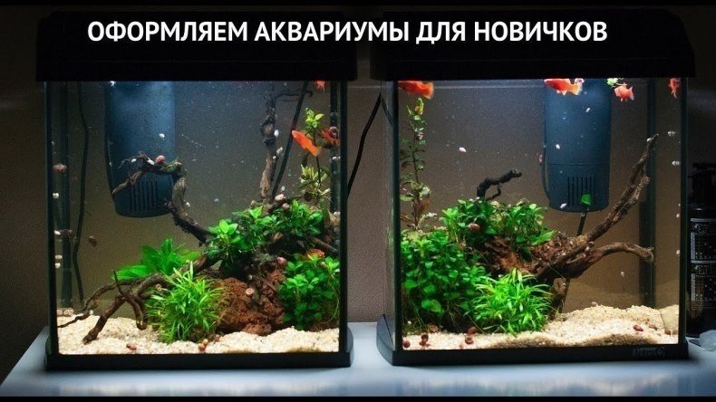 Оформление аквариума