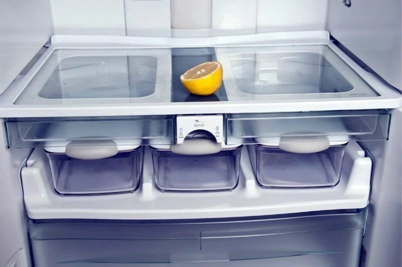 Холодильник крупным планом