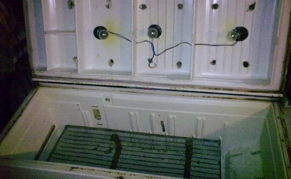 Инкубатор из холодильника с автоповоротом