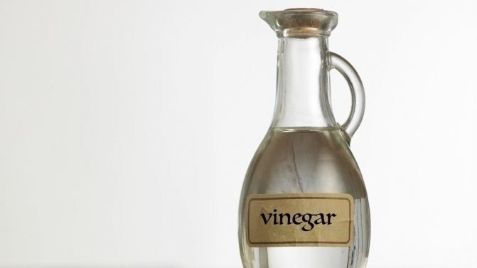 Is rich vinegar in a business garage