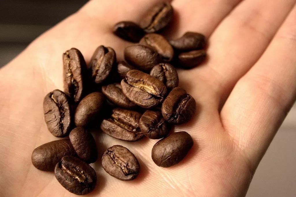 Эфиопия сидамо кофе в зернах