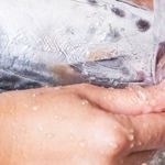 Что сделать, чтобы руки не пахли рыбой?