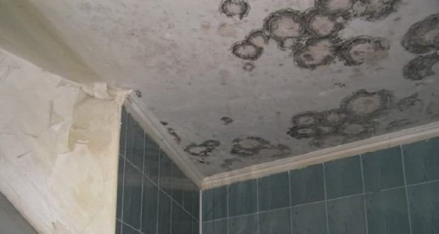 Натяжной потолок в ванной плесень