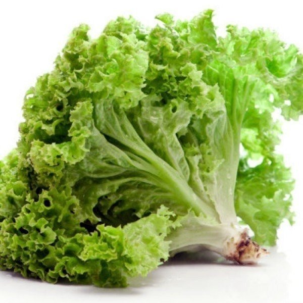 Салат зеленого цвета на белом фоне